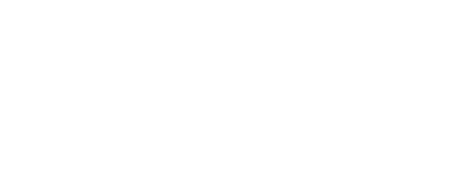 Meyer IT